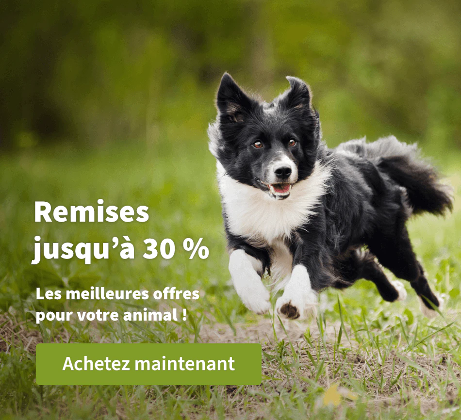 Remises jusqu'à 30 %