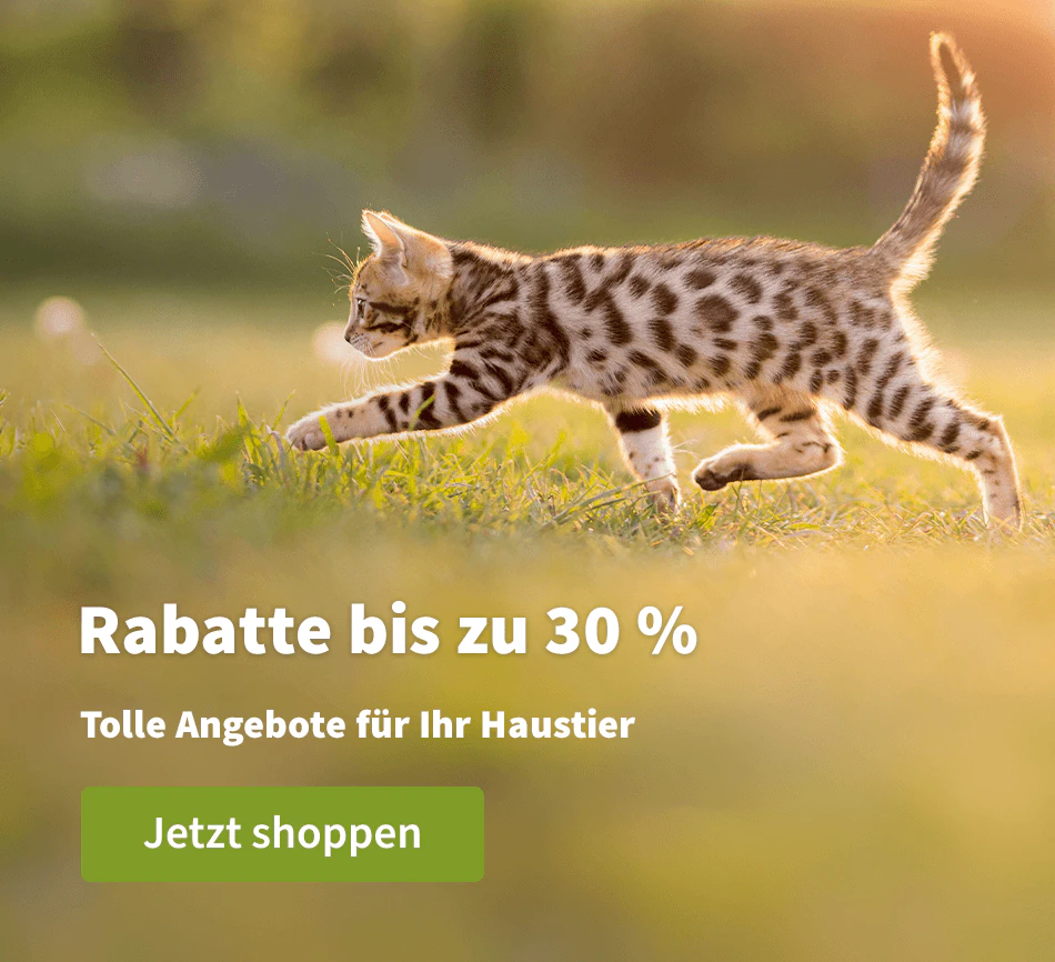 Rabatte bis zu 30 % 