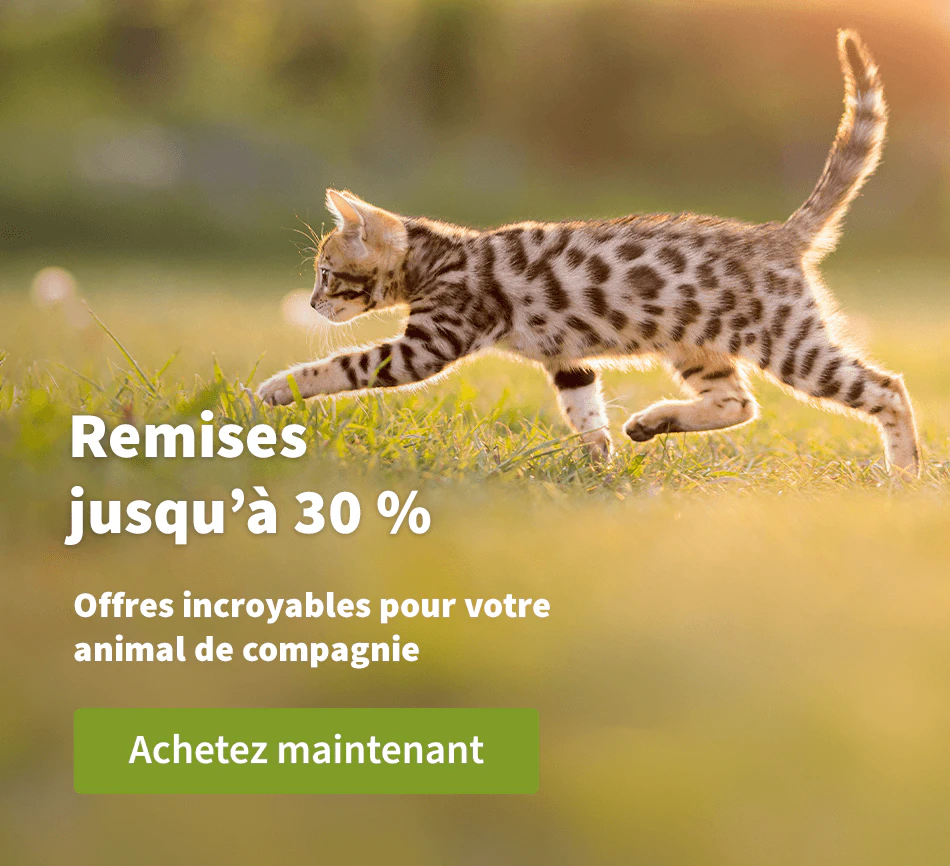 Remises jusqu'à 30 %