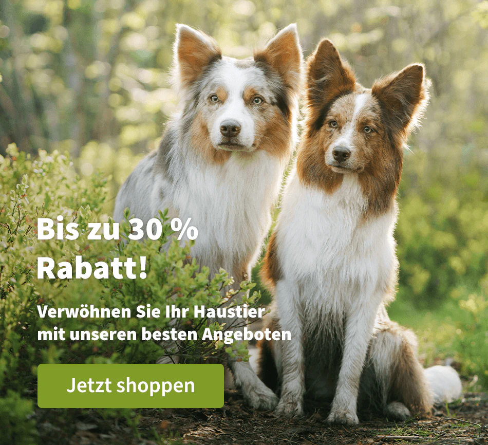 Bis zu 30 % Rabatt!