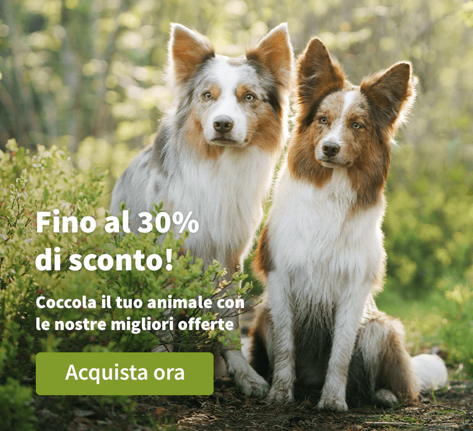 Fino al 30% di sconto!