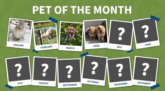 Pet of the month
