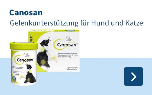 Canosan Gelenkunterstützung für Hund und Katze