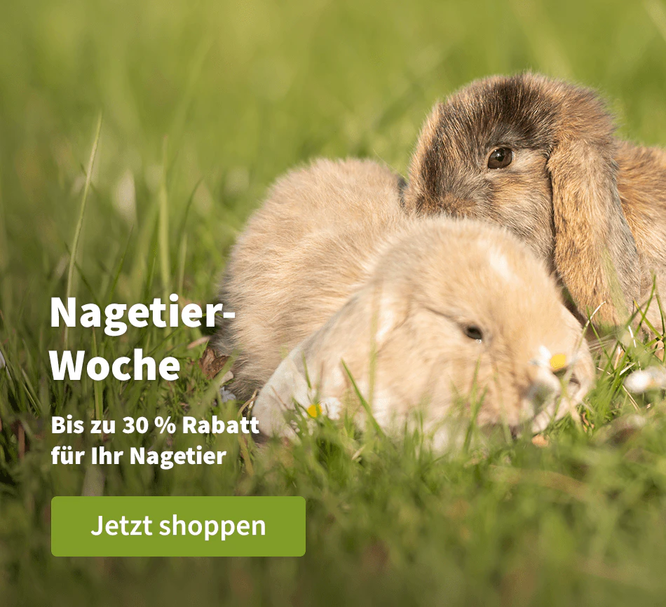 Nagetiere-Woche