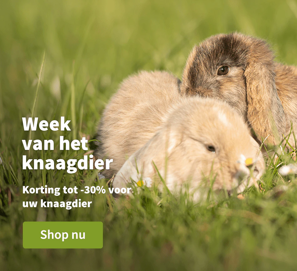 Week van het knaagdier