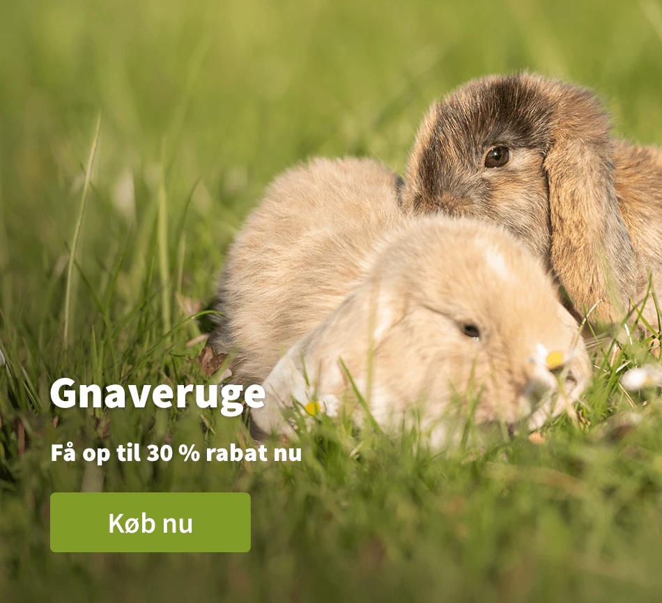 Gnaveruge