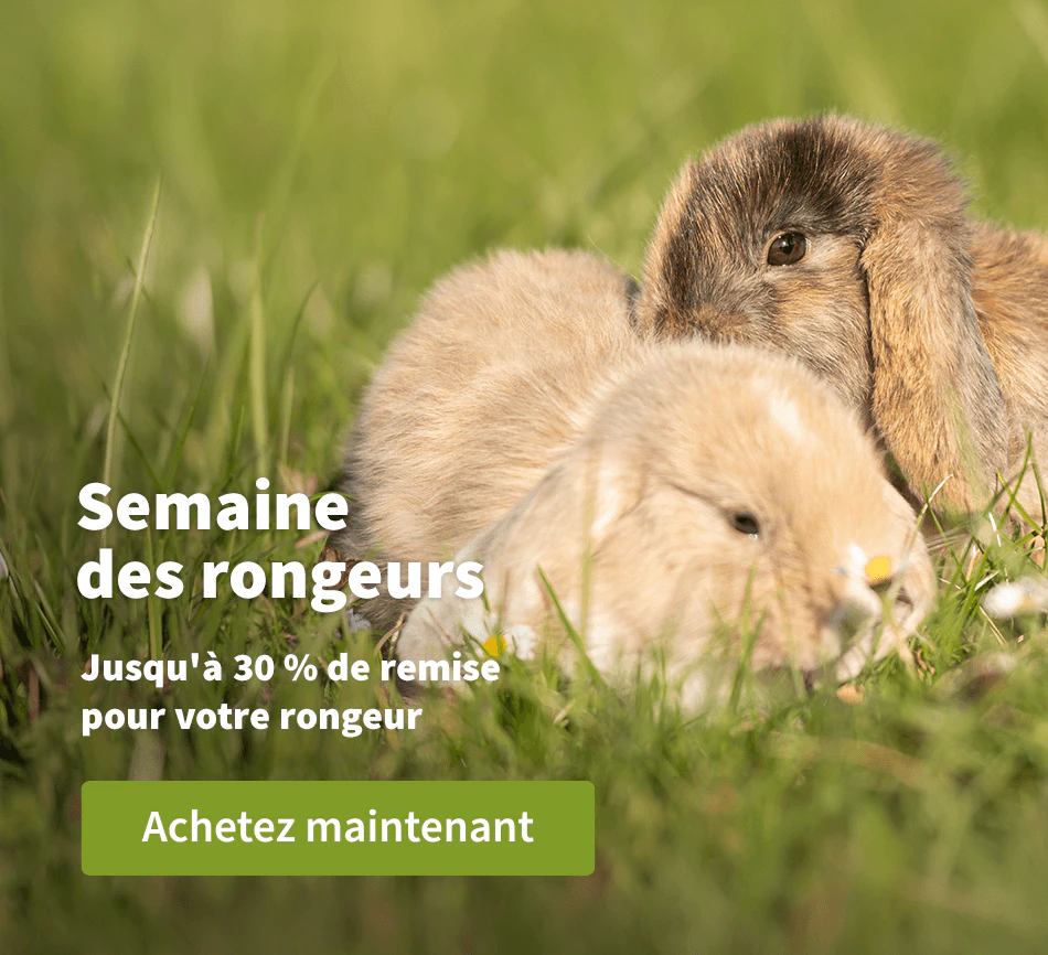 Semaine des rongeurs