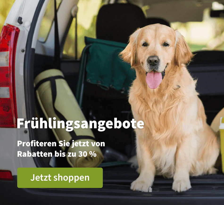 Voorjaardeals