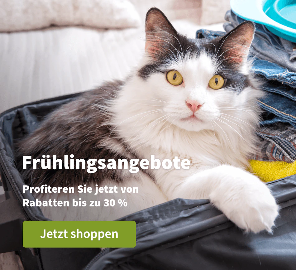 Voorjaardeals 