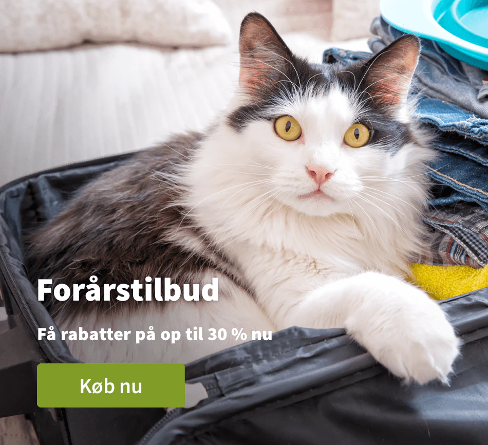 Voorjaardeals
