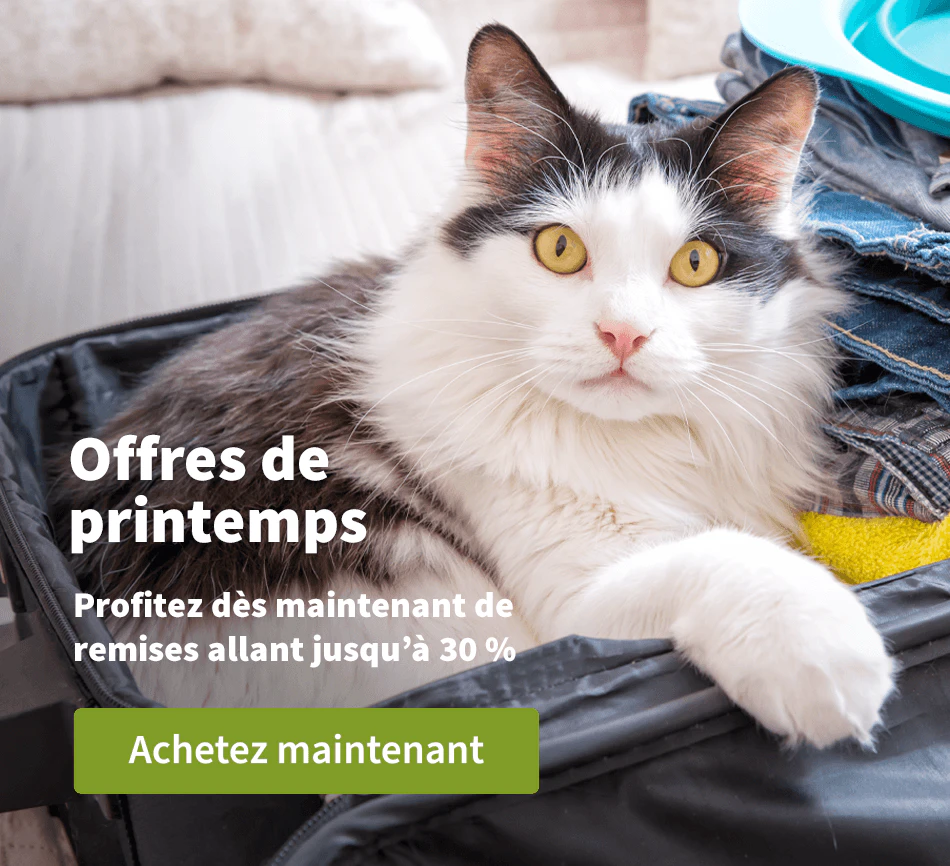 Voorjaardeals 