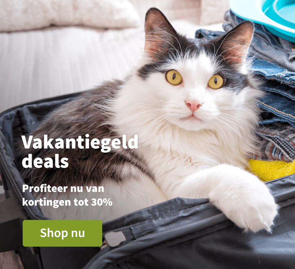 Vakantiegeld deals 