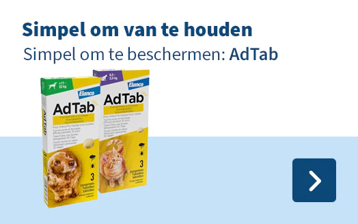 Simpel om van te houden Simpel om te beschermen: Adtab
