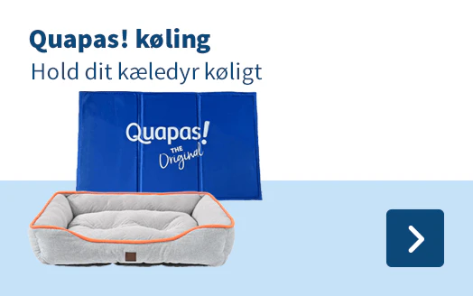 Quapas! køling Hold dit kæledyr køligt