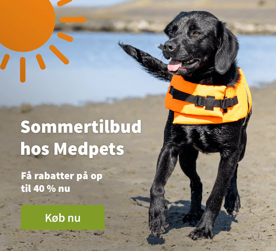 Sommertilbud
