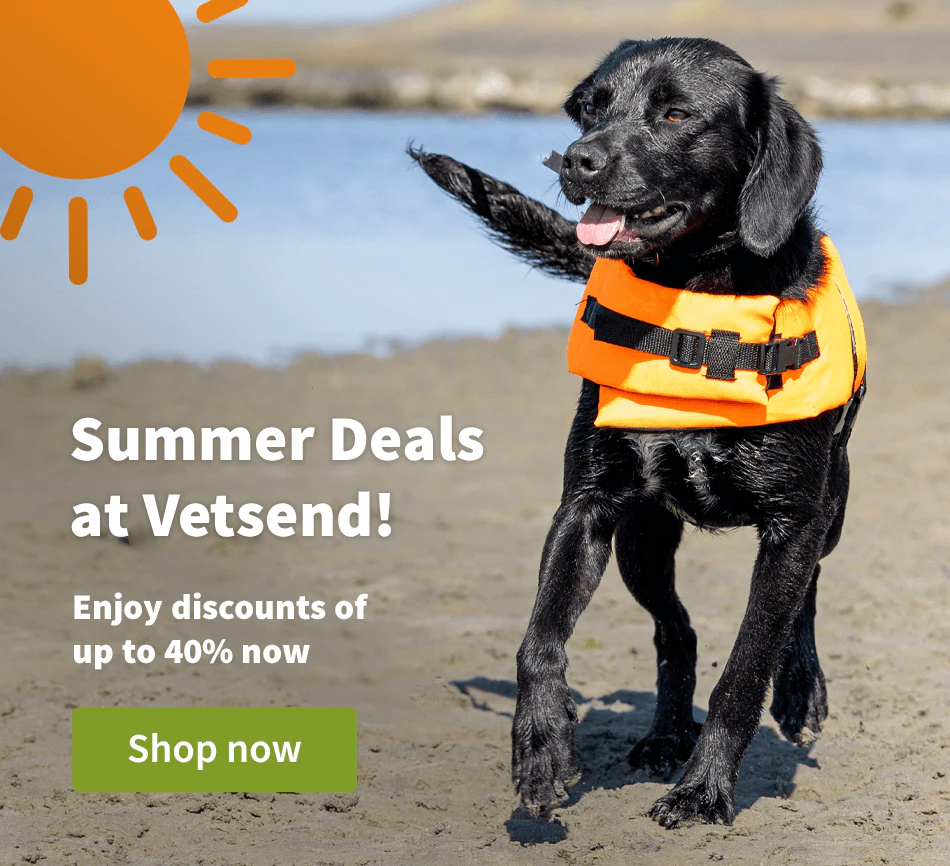 Summer deals