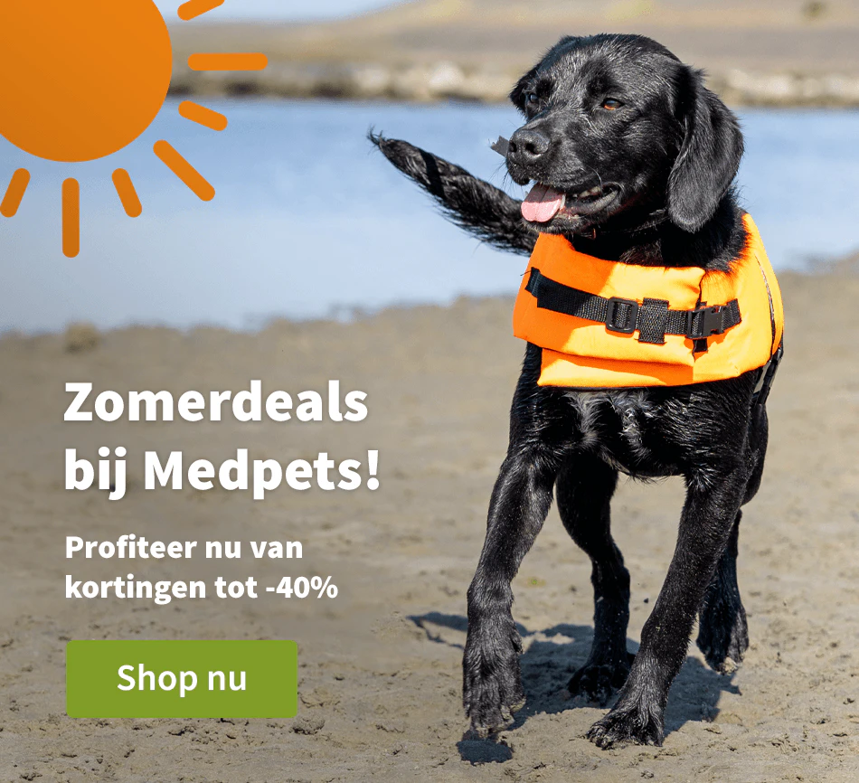 Zomerdeals