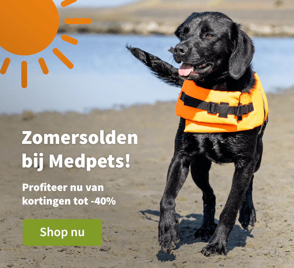 Zomersolden