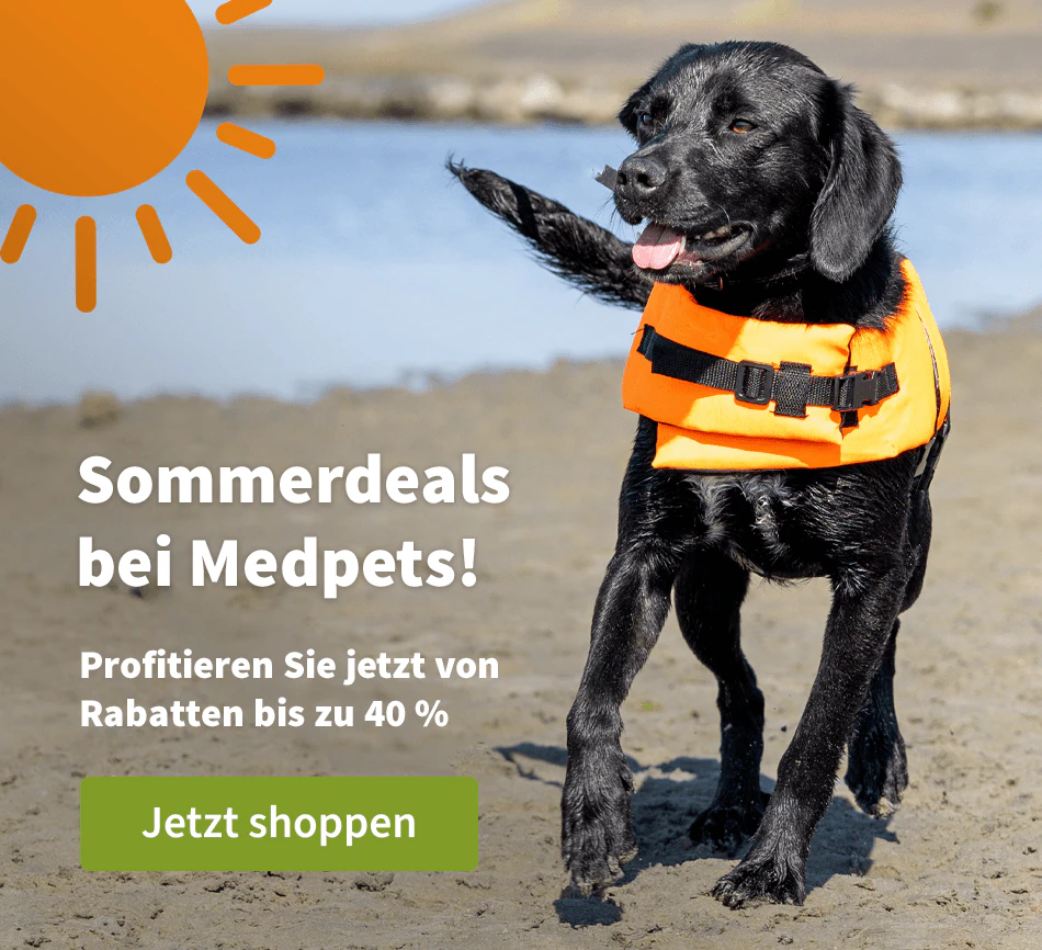 Sommerdeals