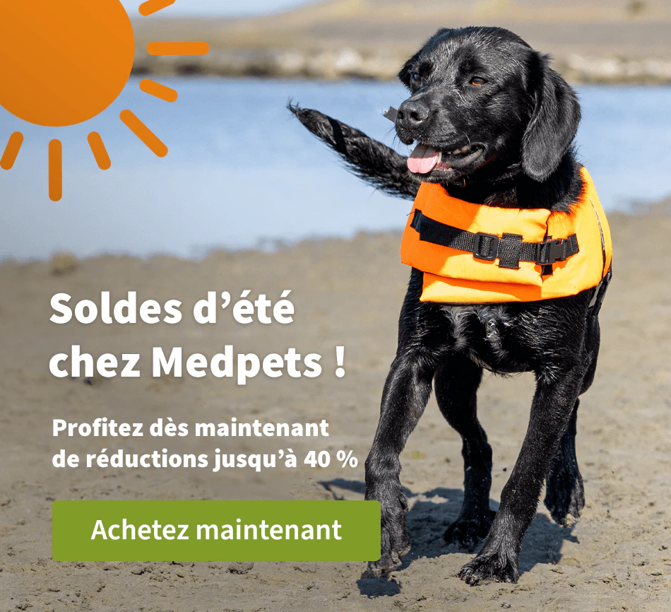 Soldes d'été