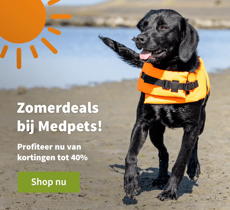 Zomerdeals