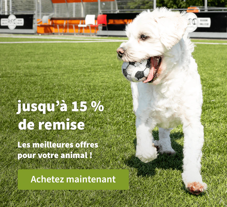 Jusqu'à 15 % de remise 