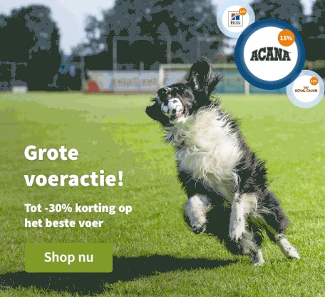 Grote voeractie