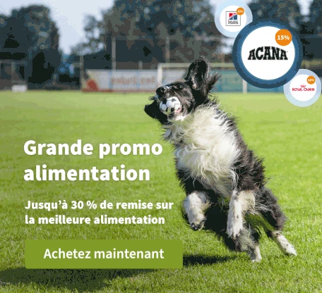 Grande promo alimentation