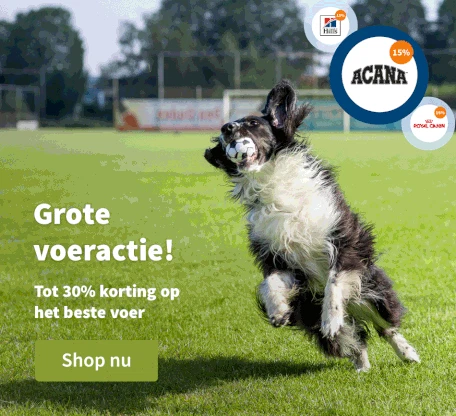 Grote voeractie
