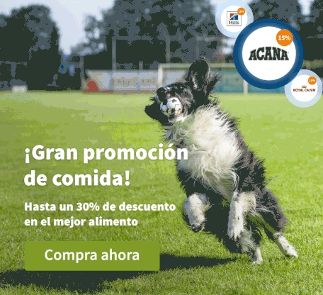 Gran promocion de comida