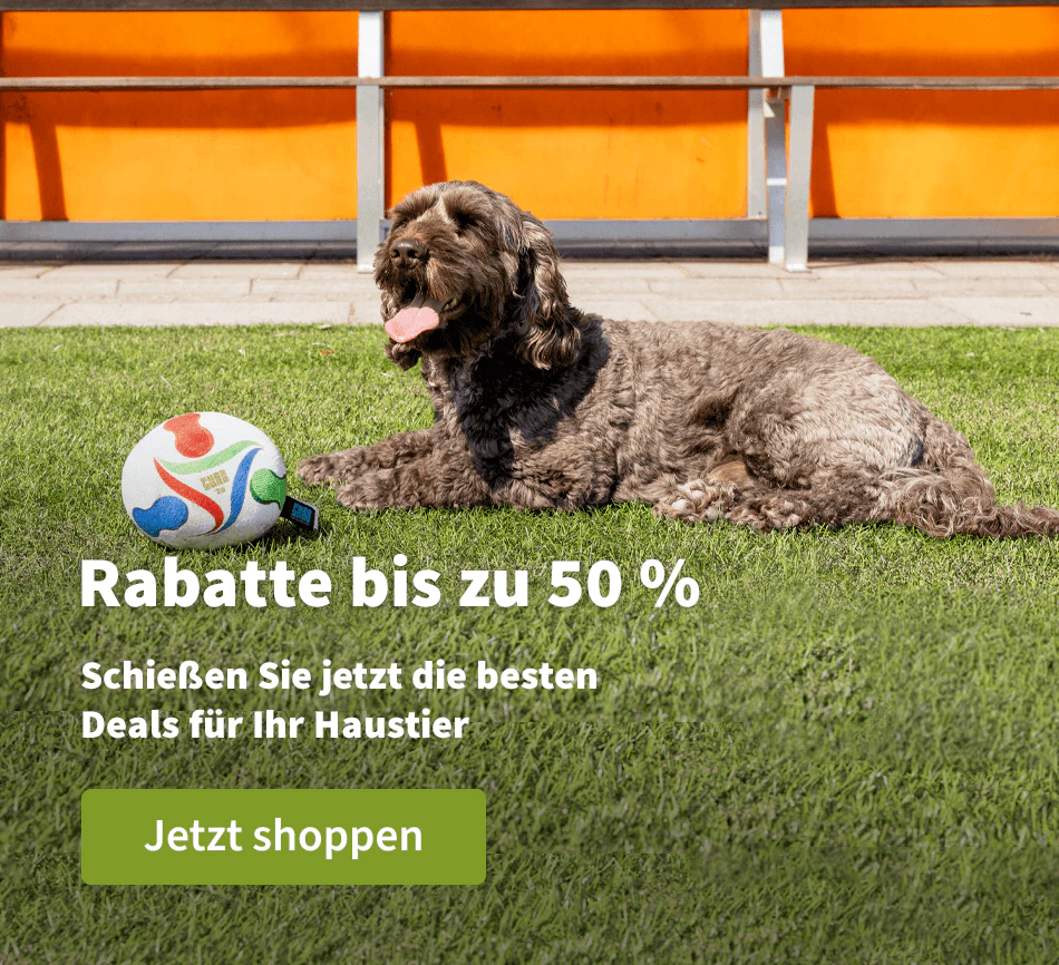 Rabatte bis zu 50 %