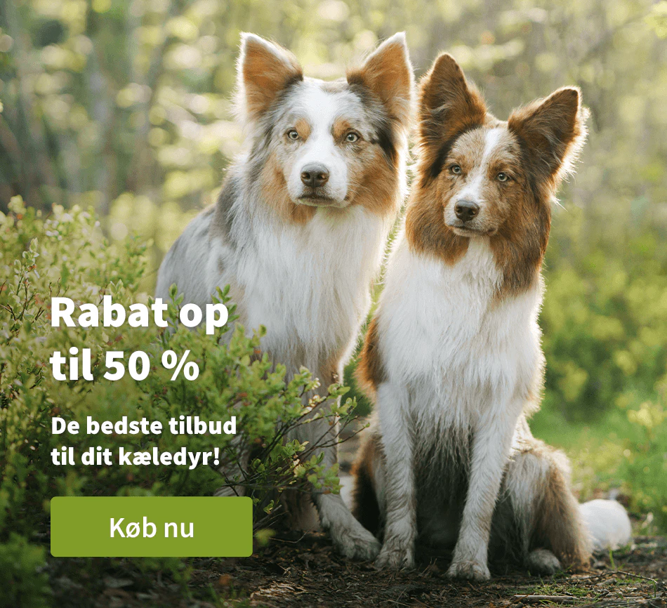Rabat op til 50 %