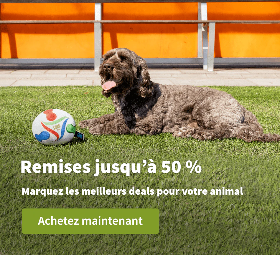 Remises jusqu'a 50 %