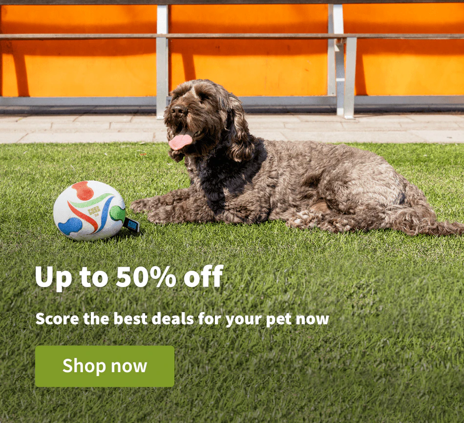 Up to 50% off