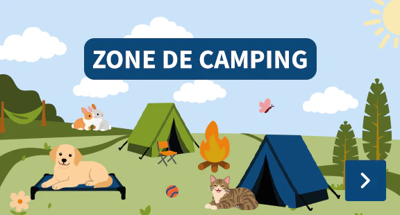 Camping