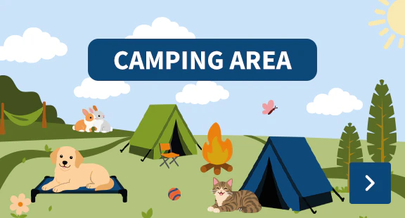 camping