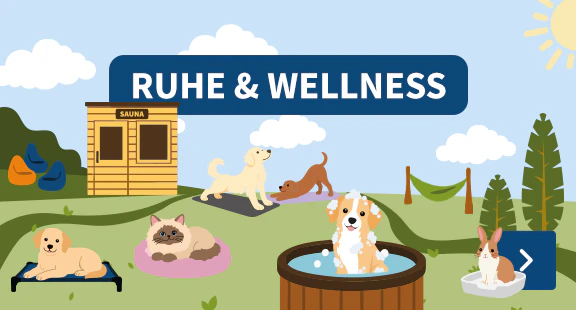 Ruhe & Wellness