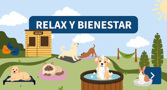 Relax