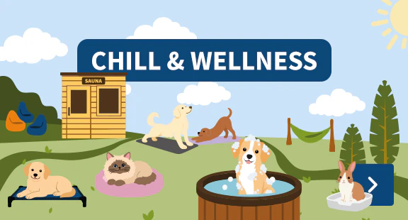 chill & wellness