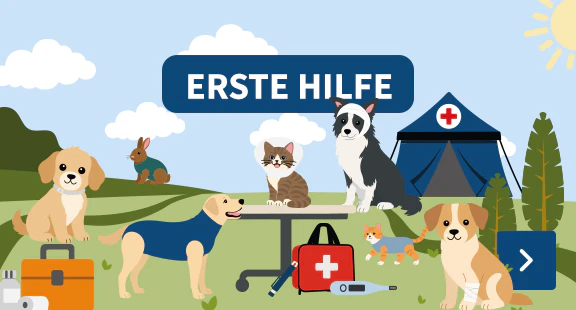 Erste Hilfe