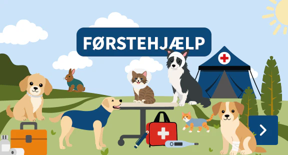 first aid