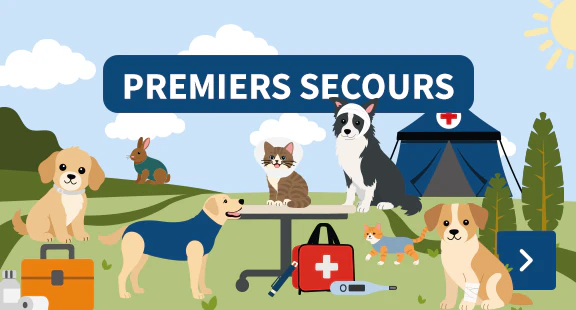 premiers secours