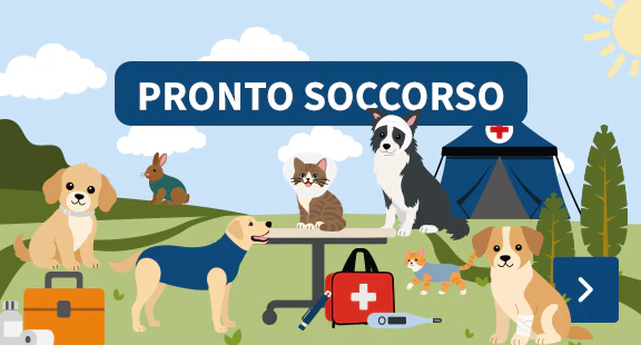Soccorso