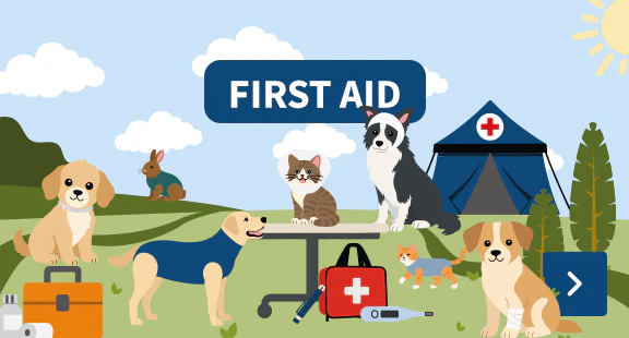 first aid