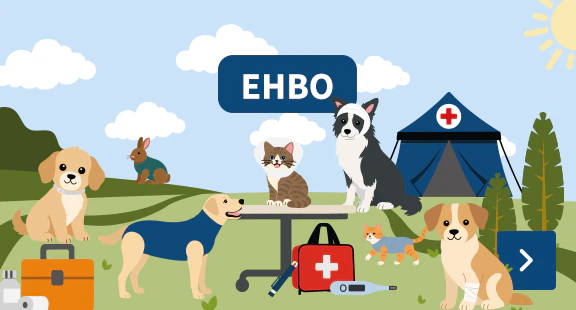 EHBO