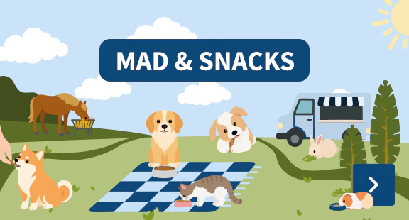 mad & snacks