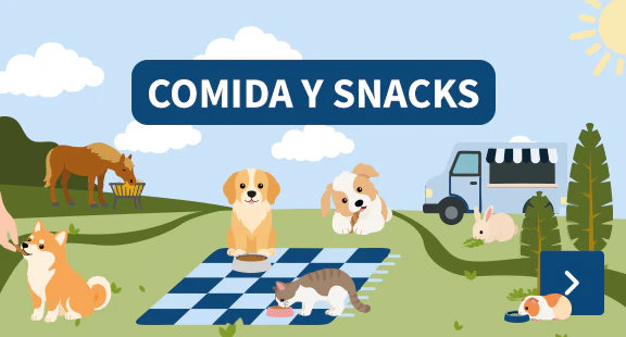 Comida