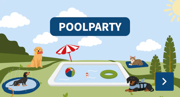 Poolparty