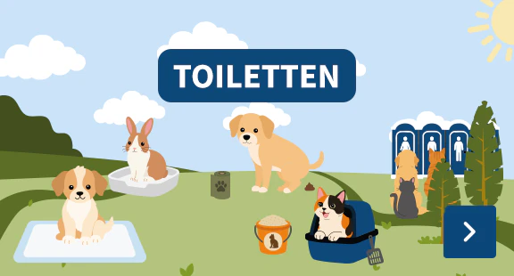 Toiletten