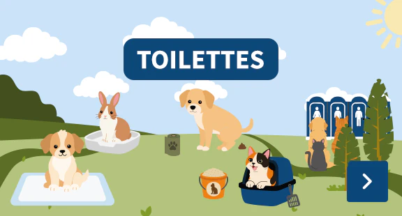Toilettes